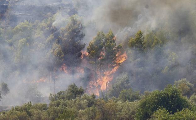 El avance del incendio de la Vall d'Ebo obliga a cortar la carretera con Pego