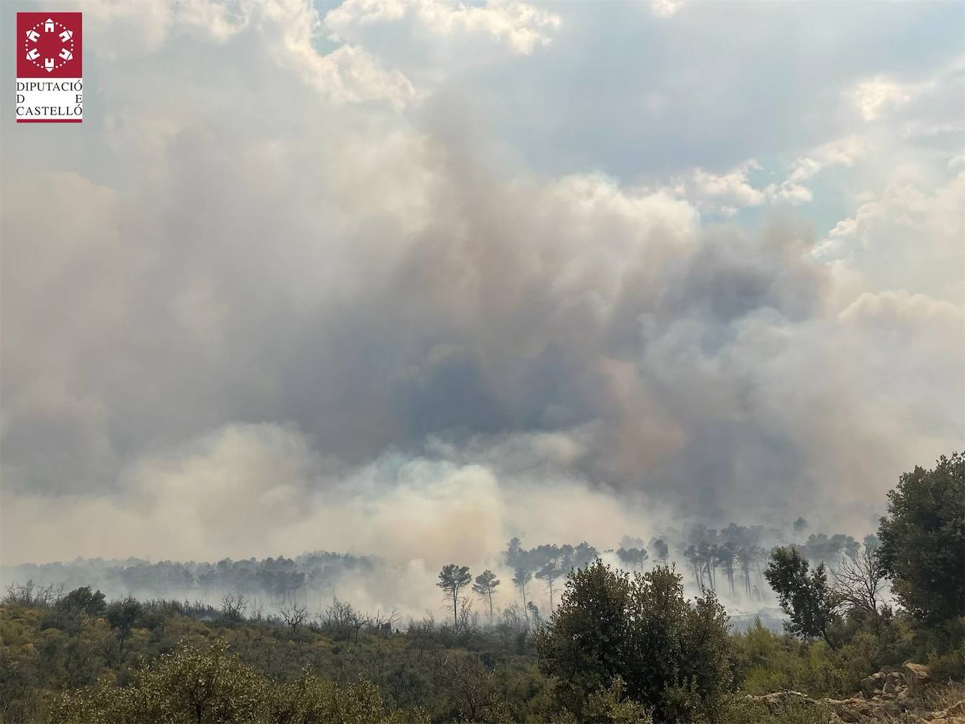 Despliegue de dotaciones de bomberos de Diputación de Castellón y medios aéreos en la zona próxima al Santuario de la Cova Santa de Altura.