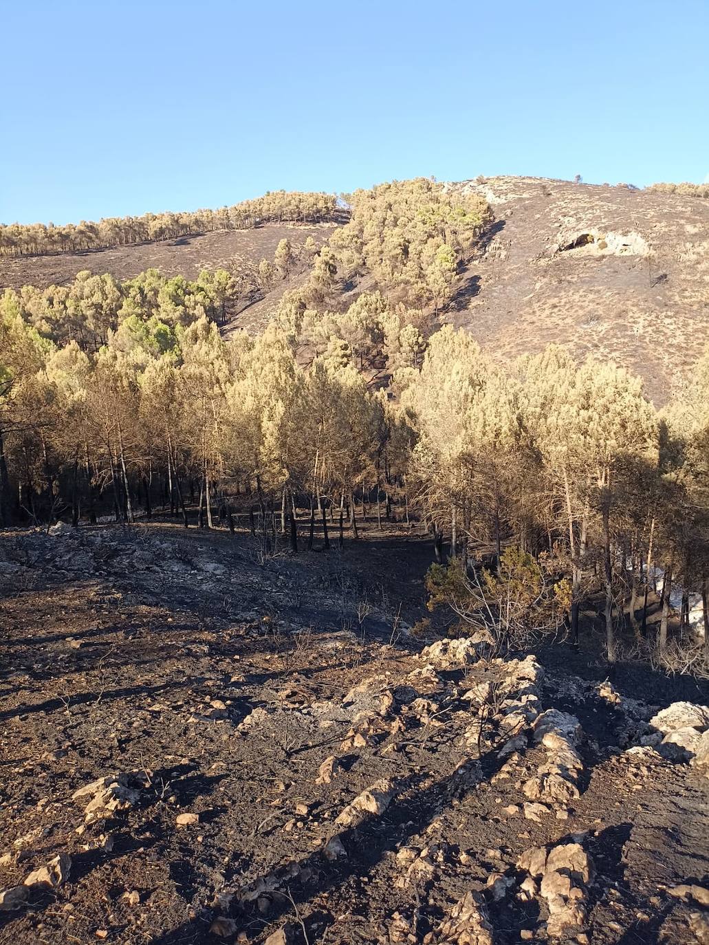 Barranco de Malafi, en Tollos