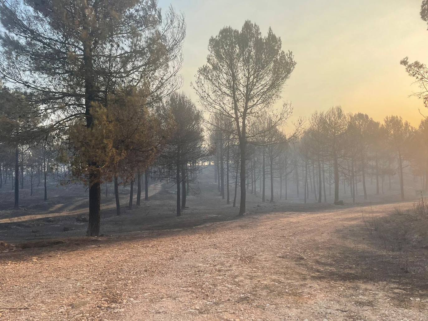 Terreno calcinado en un punto del Valle de Seta