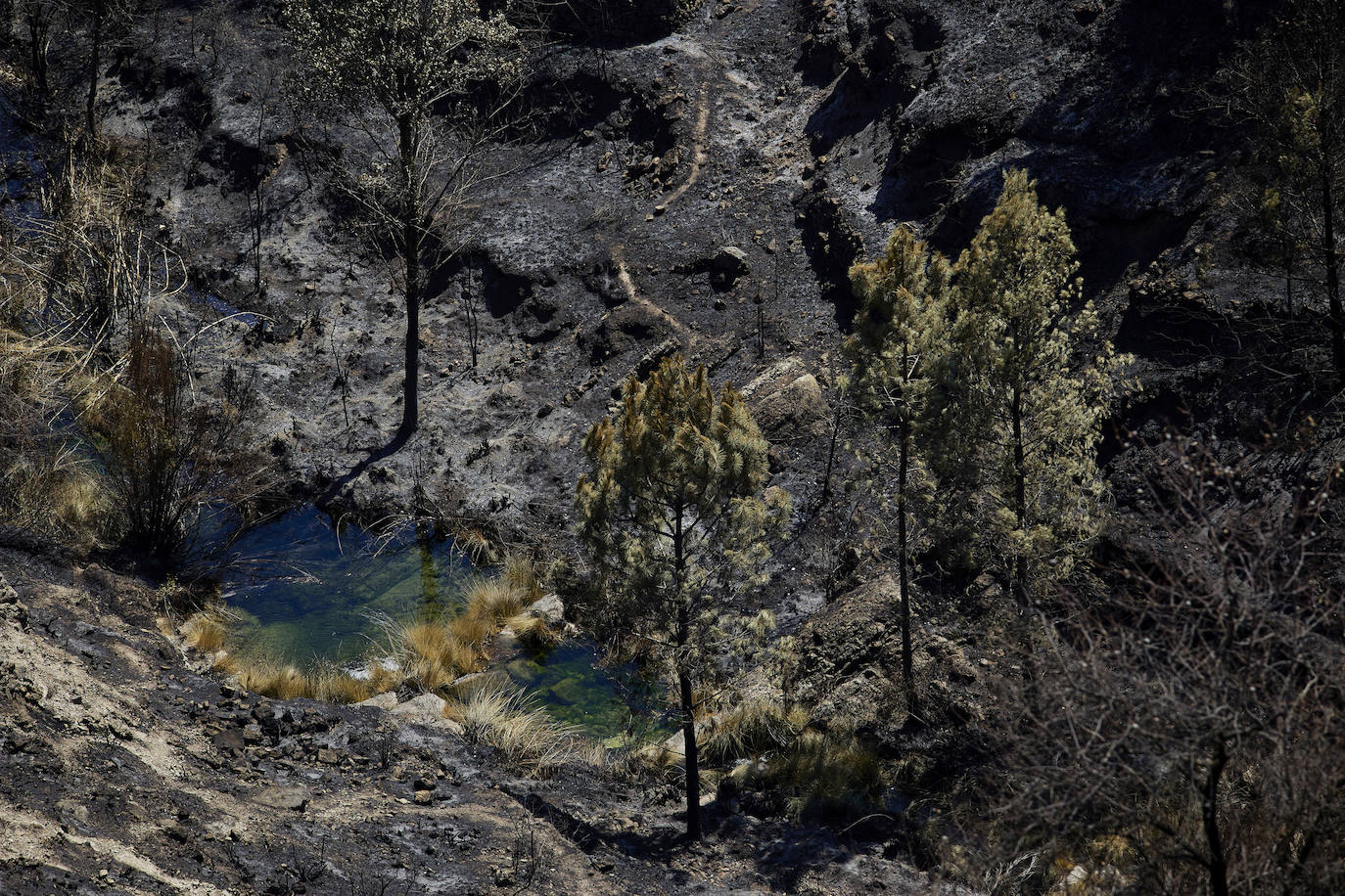 Fotos: Así se encuentra Bejís tras el paso del fuego