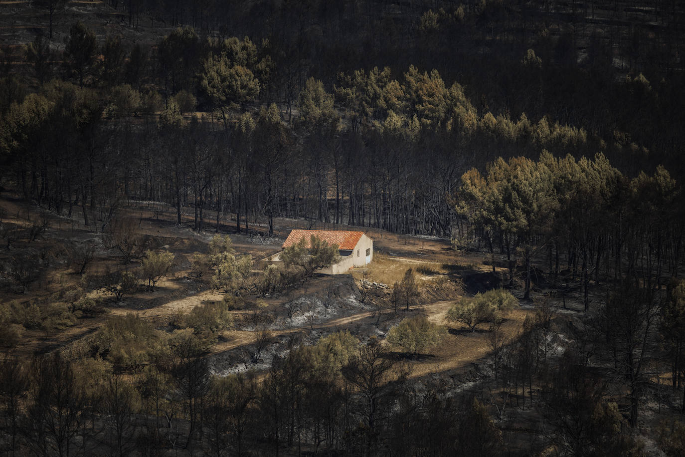 Fotos: Así se encuentra Bejís tras el paso del fuego