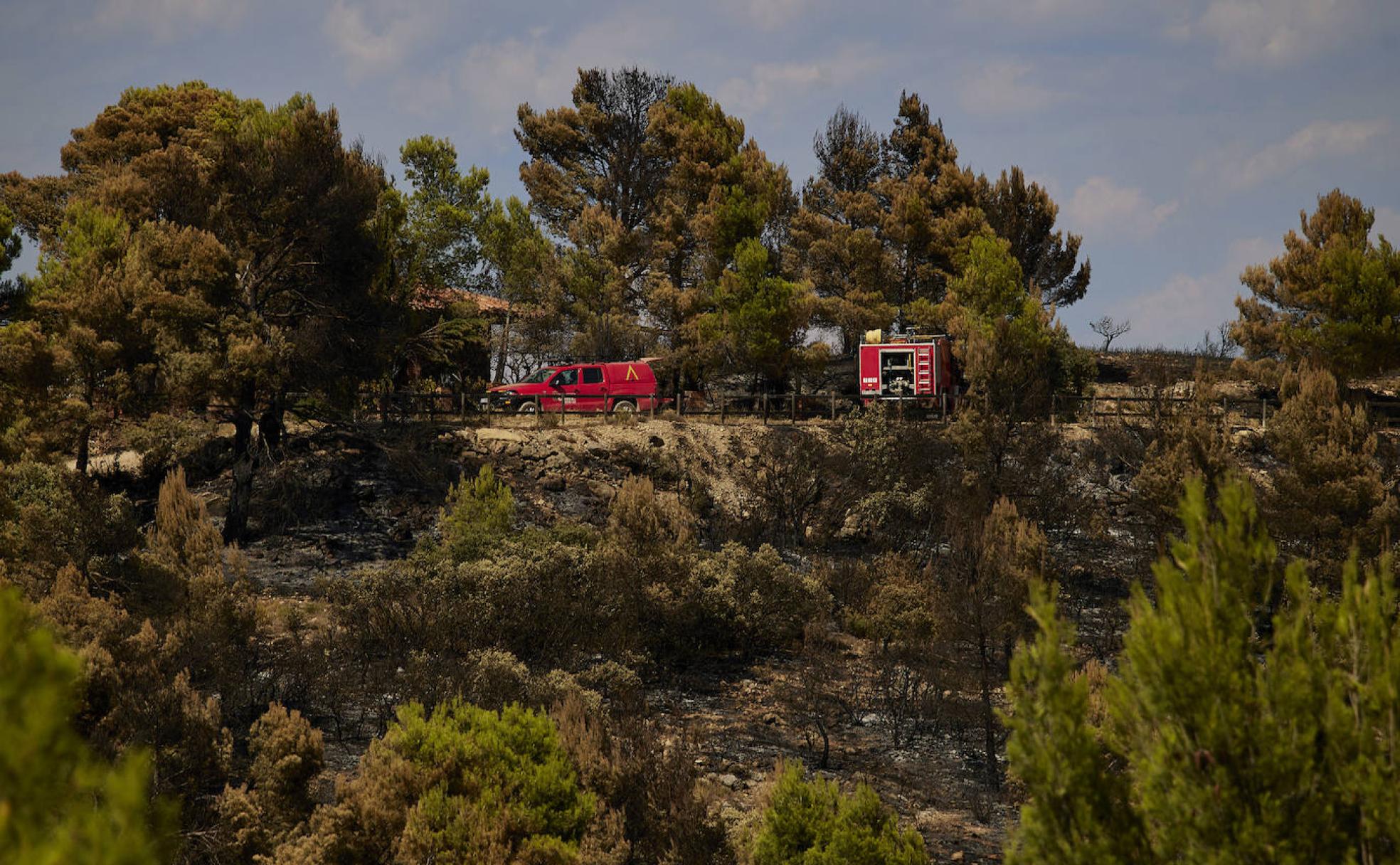 Paisaje quemado en Altura, junto a una zona libre de las llamas.