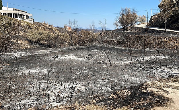 Zona abrasada en Torás, este sábado.