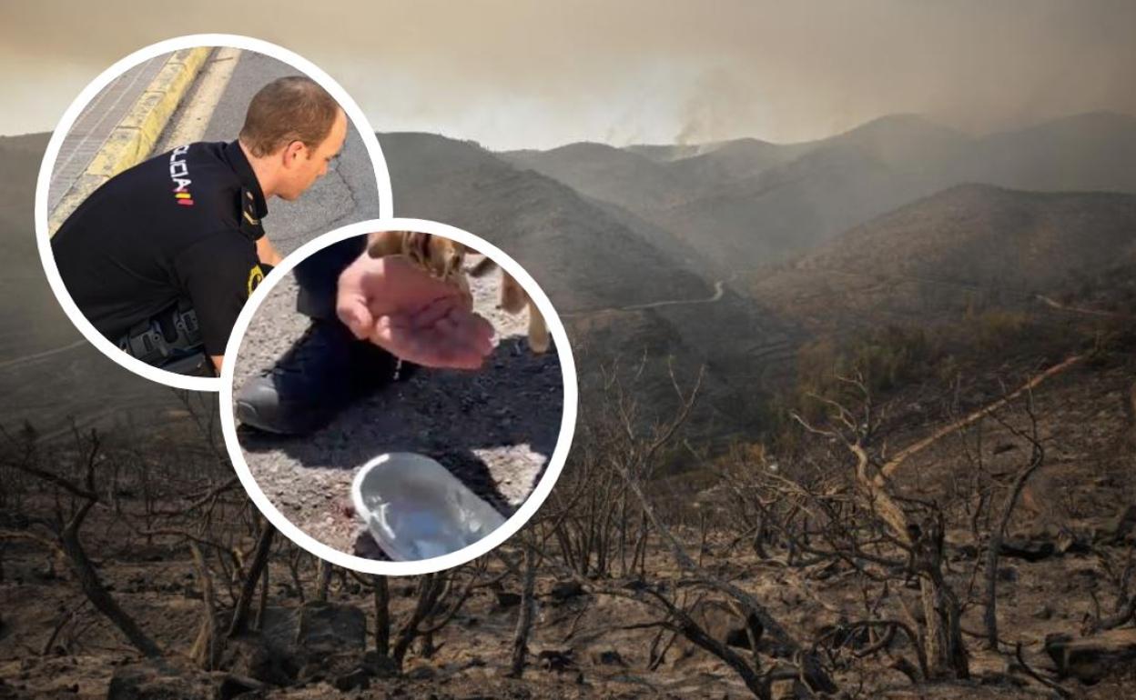 Incendio Bejís | La imagen viral del policía y el guardia civil en el incendio de Bejís que revoluciona las redes