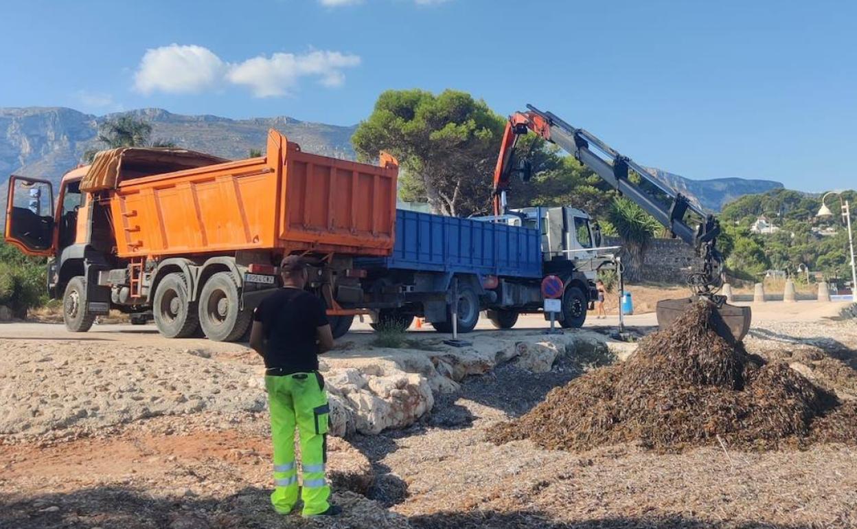 Los trabajos que se han realuzado en el barranco de l'Amboixar. 