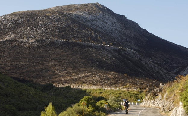 Un ciclista circula entre montañas quemadas por el incendio de Vall d'Ebo. 