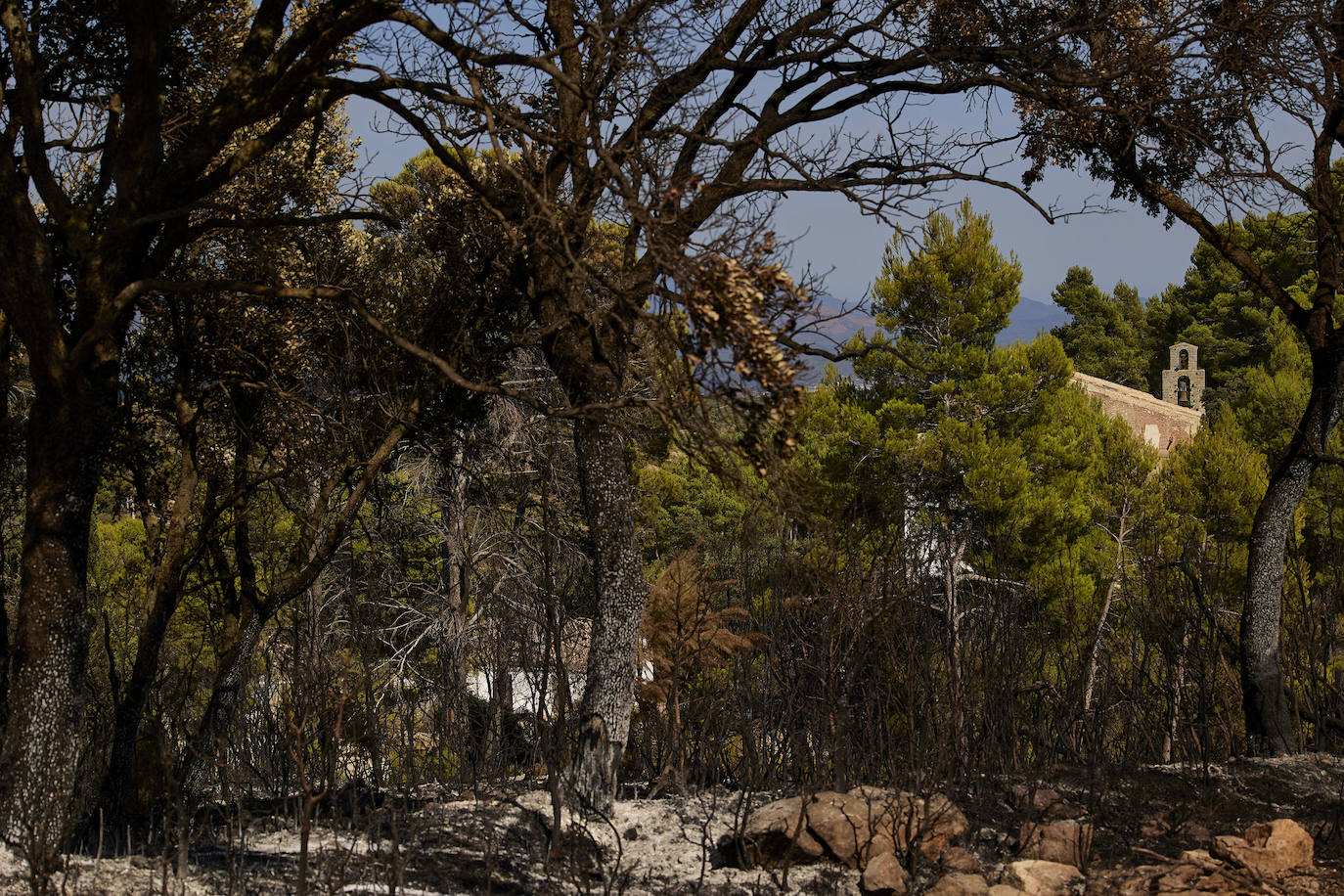 La reapertura de las carreteras permite regresar al santuario de Altura.