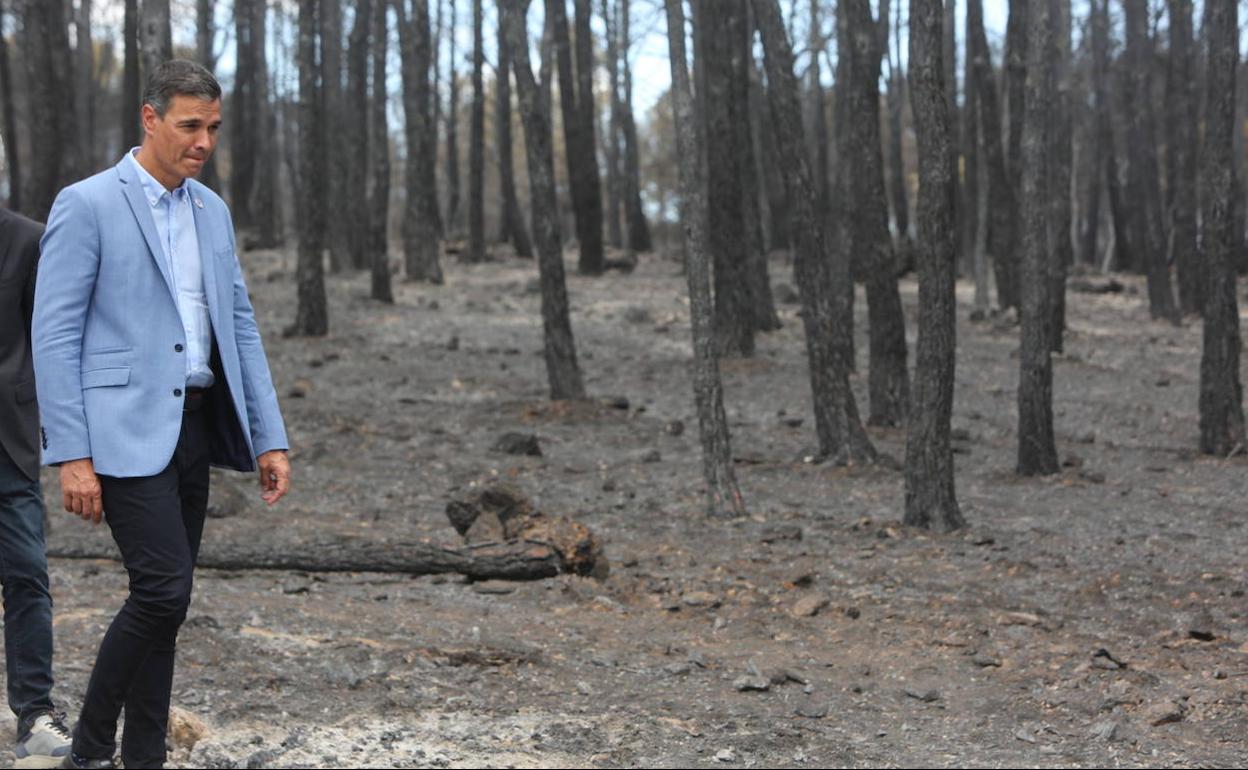 Pedro Sánchez visita un paraje afectado por las llamas del término municipal de Teresa. 