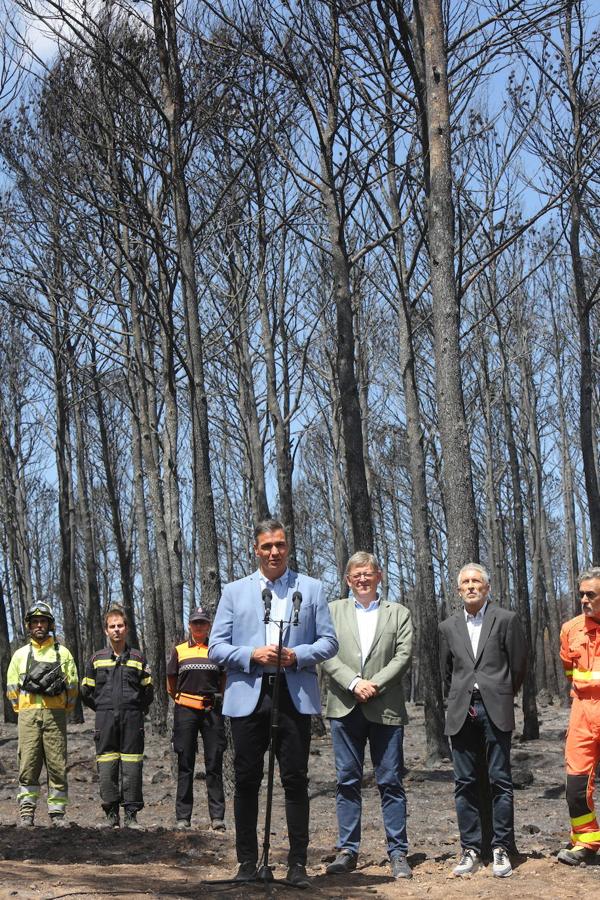 Fotos: Pedro Sánchez visita la zona afectada por el incendio de Bejís