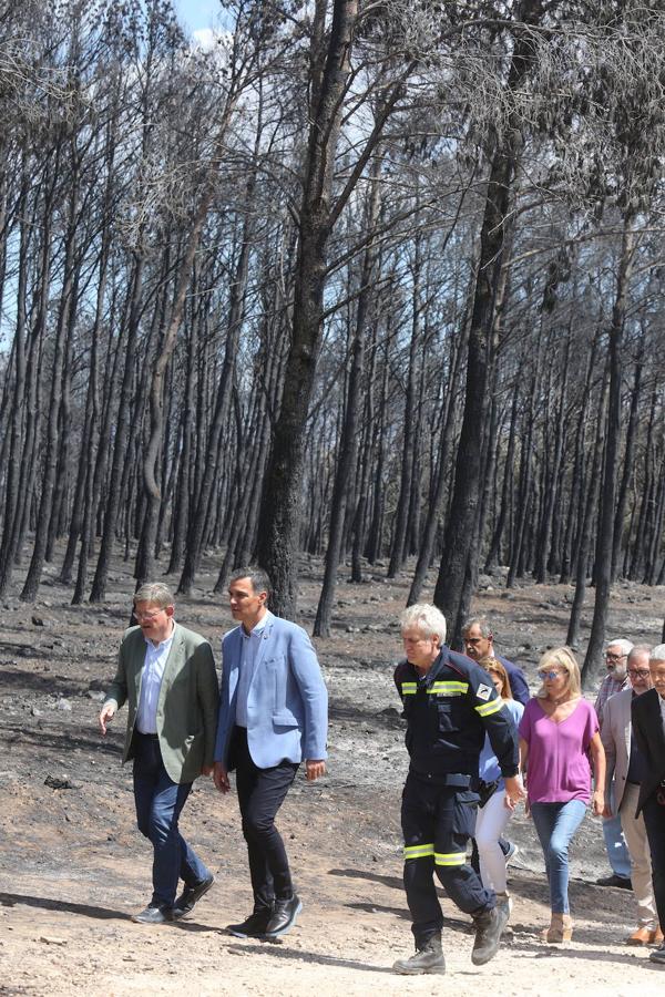 Fotos: Pedro Sánchez visita la zona afectada por el incendio de Bejís