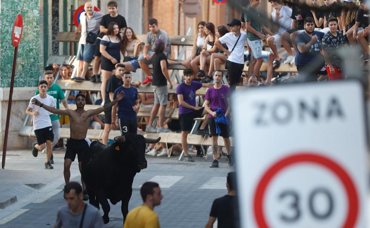 Un acto de bous al carrer en Alboraia este verano. 