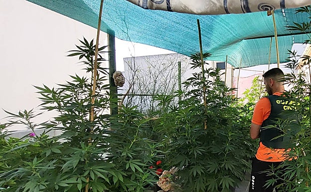 Interior de la vivienda. 