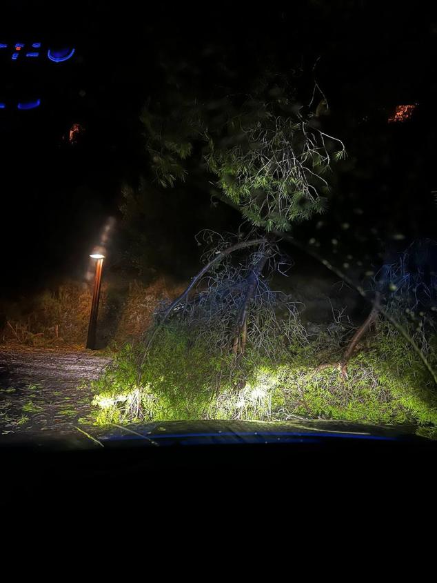 Fotos: Efectos del temporal de lluvia y viento a su paso por Xàtiva