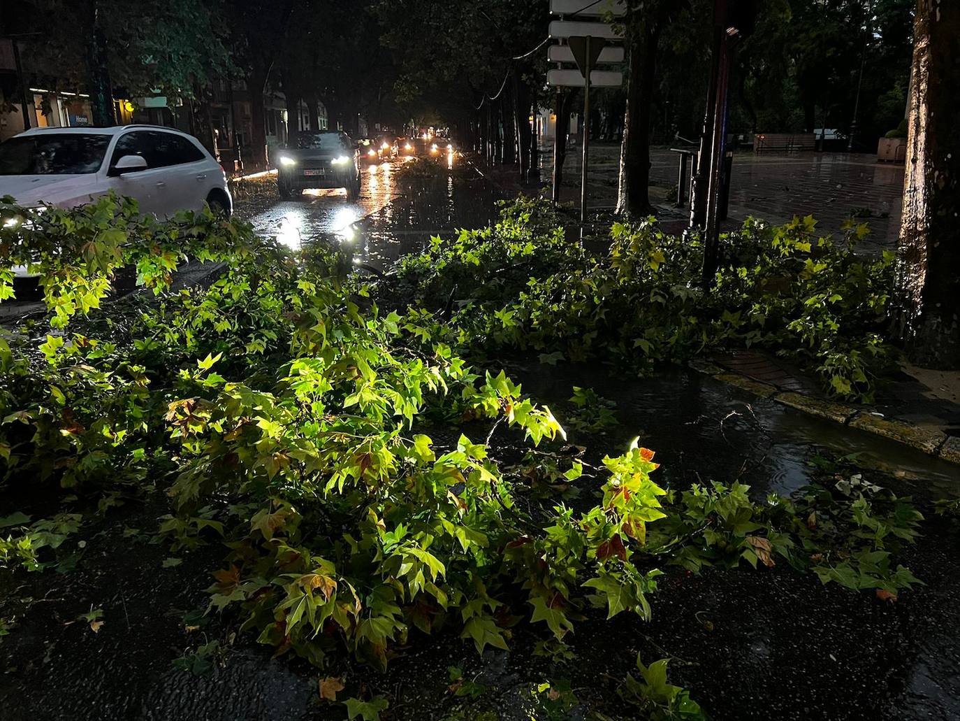 Fotos: Efectos del temporal de lluvia y viento a su paso por Xàtiva