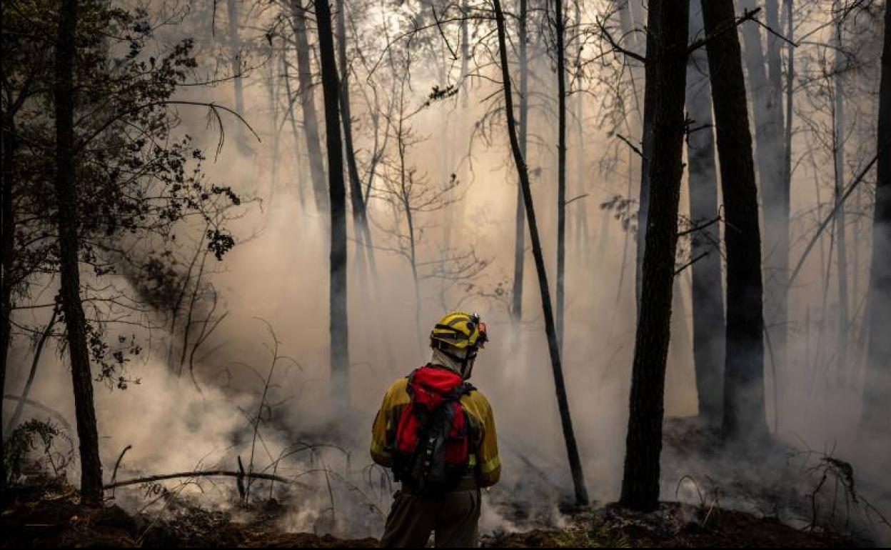 Incedios forestales | Sorprenden a una mujer con pastillas de encendido y un mechero cuando iba provocar un incendio