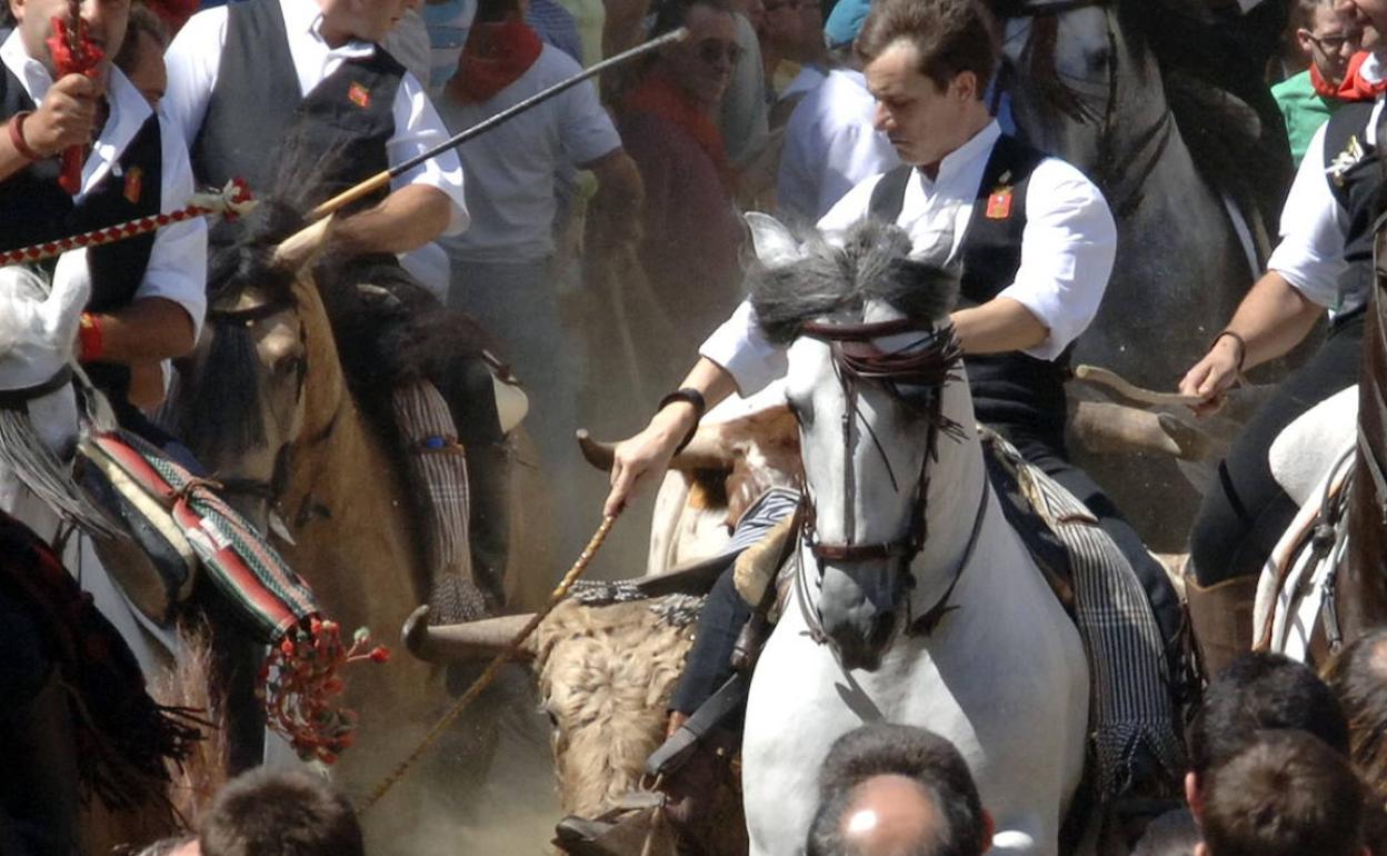 Jinete durante la Entrada de Toros y Caballos.