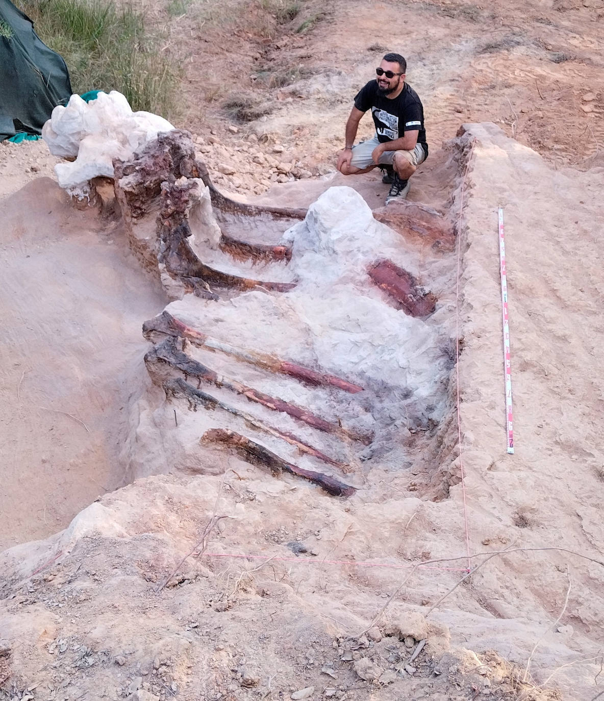 Fotos: El accidental hallazgo fósil del dinosaurio más grande en Europa