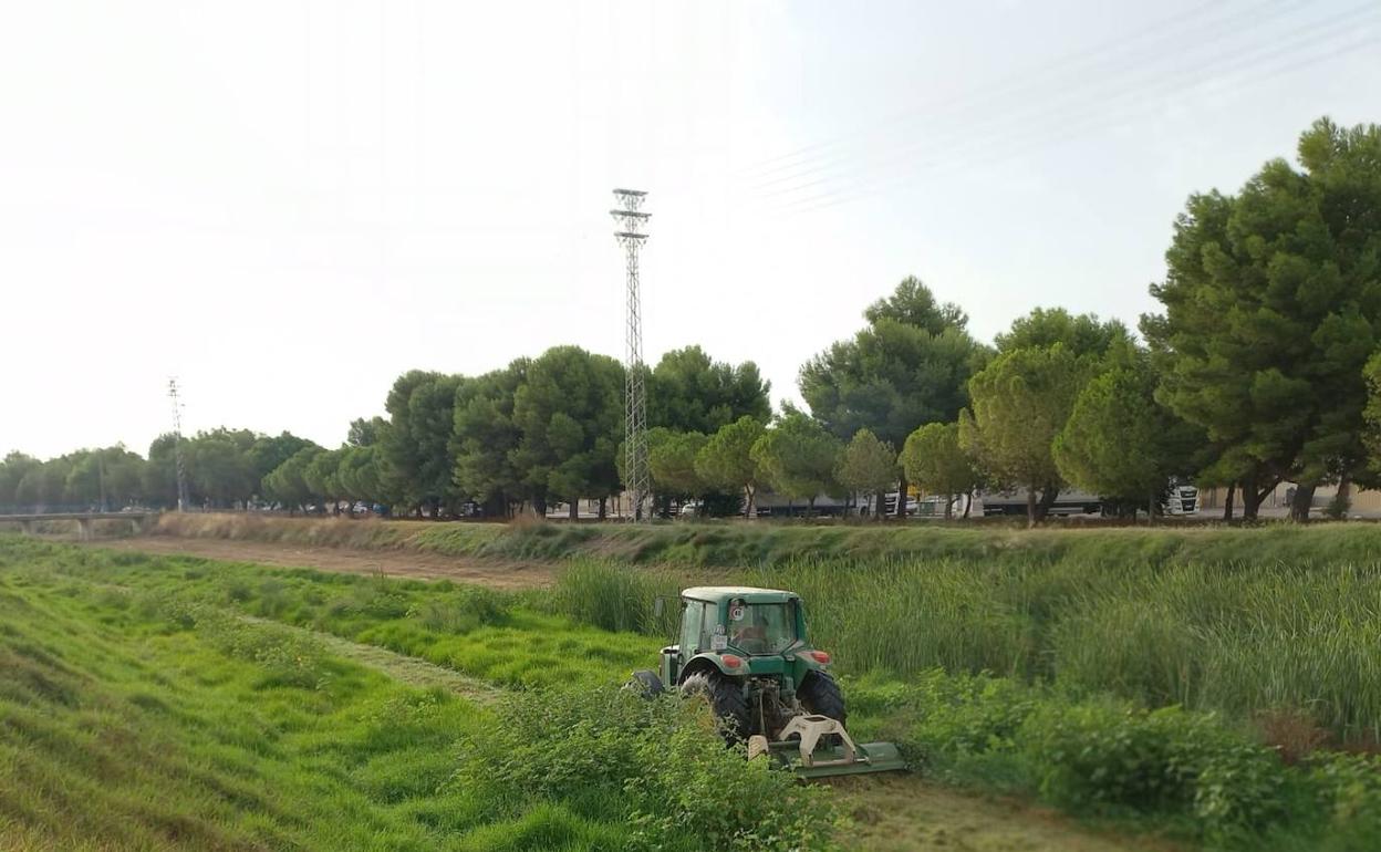 Un tractor elimina la vegetación del cauce del barranco. 