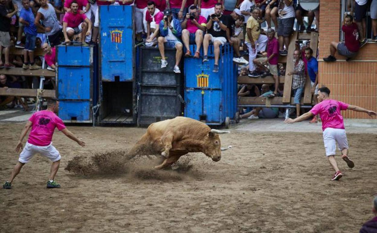 Un espectáculo de bous al carrer. 