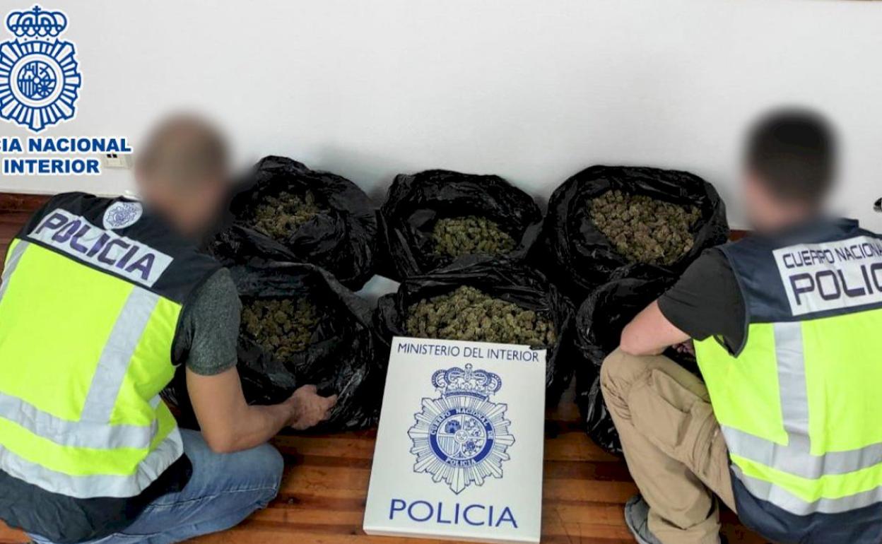 Los agentes descubrieron más de 13 kilos de marihuana. 