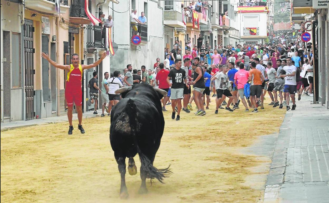 Bous al carrer | Municipios de Compromís desoyen a Mas y defienden la tradición de los bous al carrer