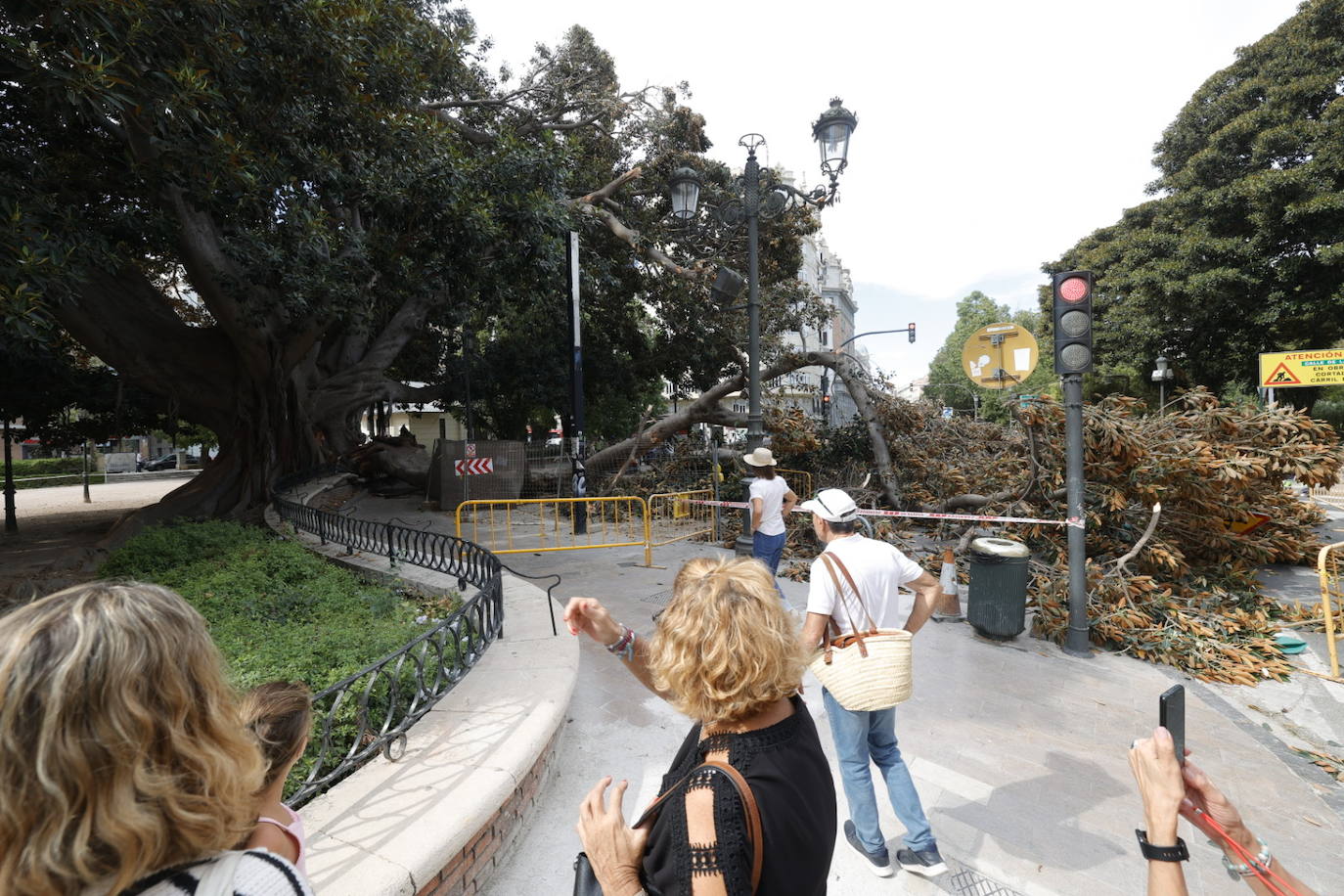 Estos son los desperfectos tras la caída del ficus