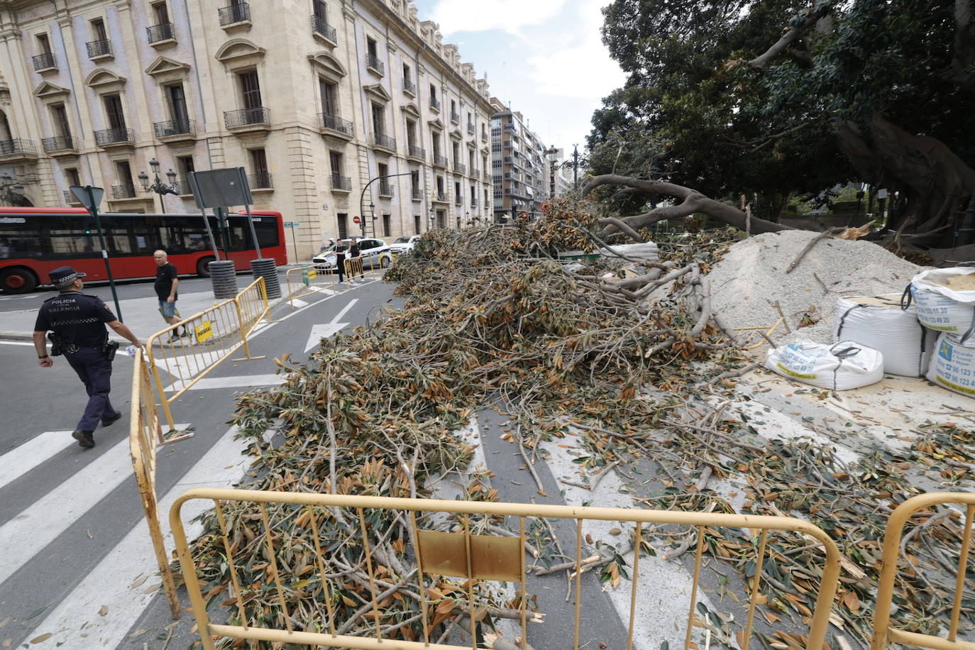 Estos son los desperfectos tras la caída del ficus