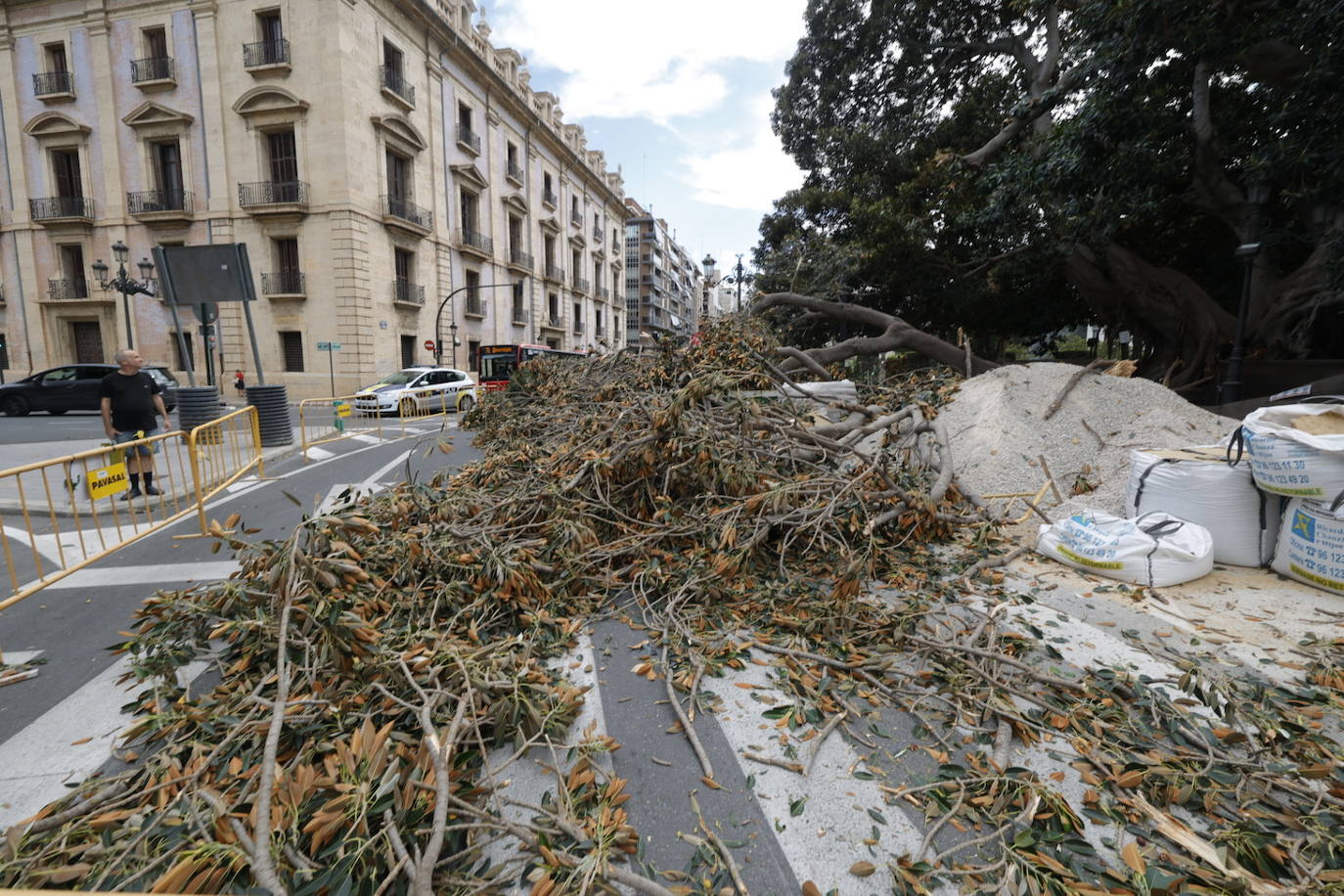 Estos son los desperfectos tras la caída del ficus