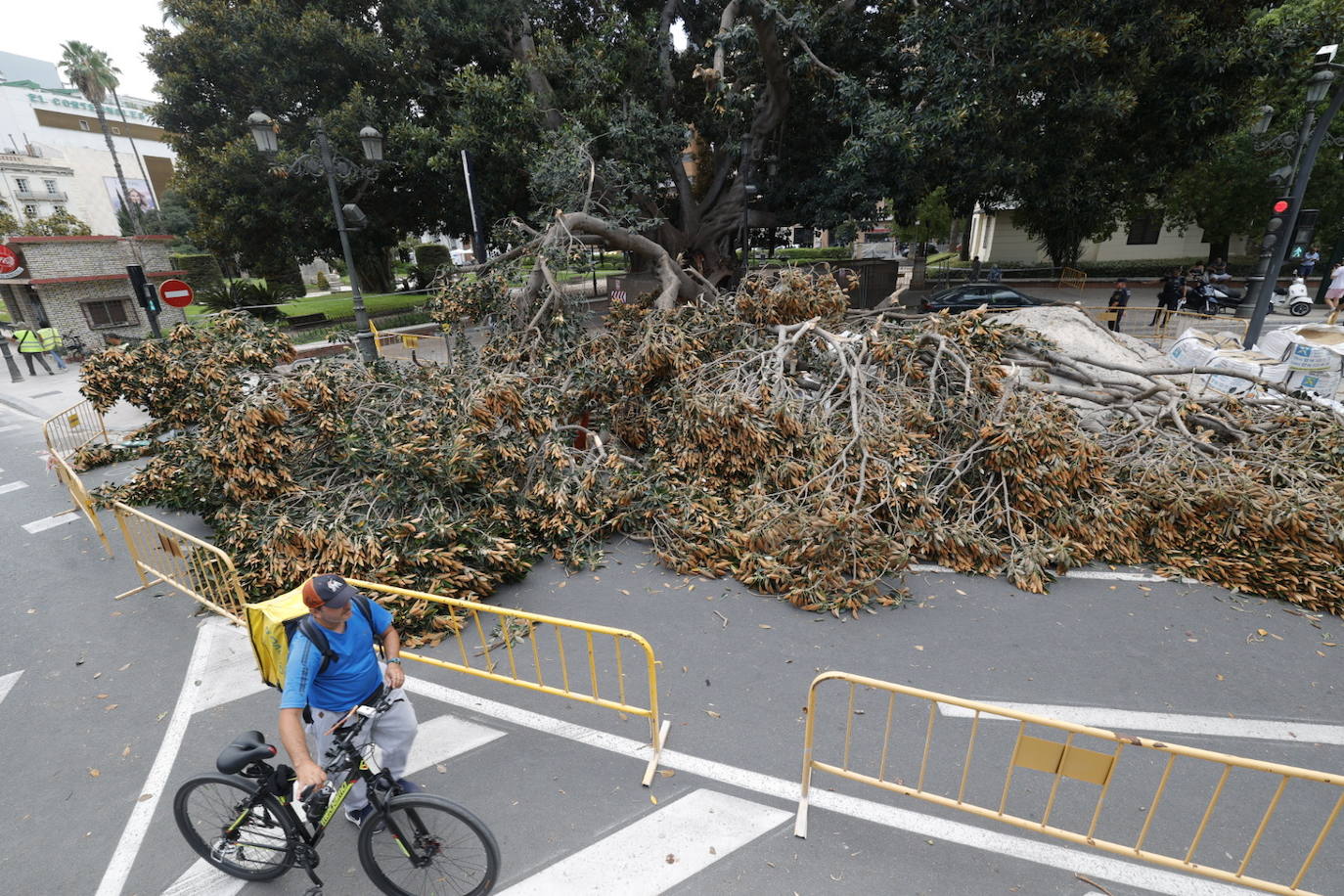 Estos son los desperfectos tras la caída del ficus