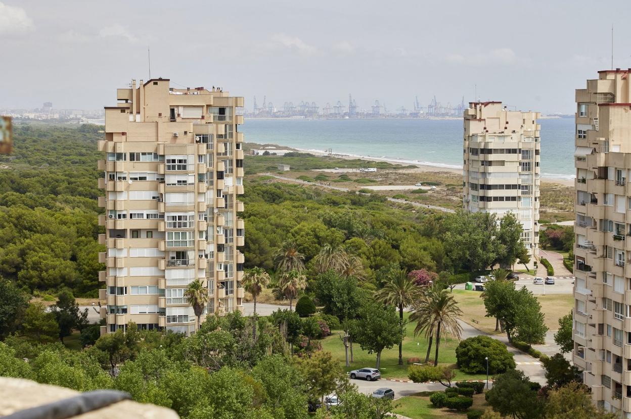 Apartamentos en la Devesa de El Saler. iván arlandis