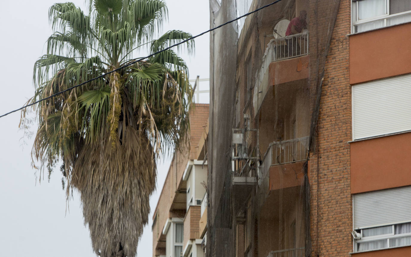 Así está Valencia: abandono evidente de las zonas ajardinadas