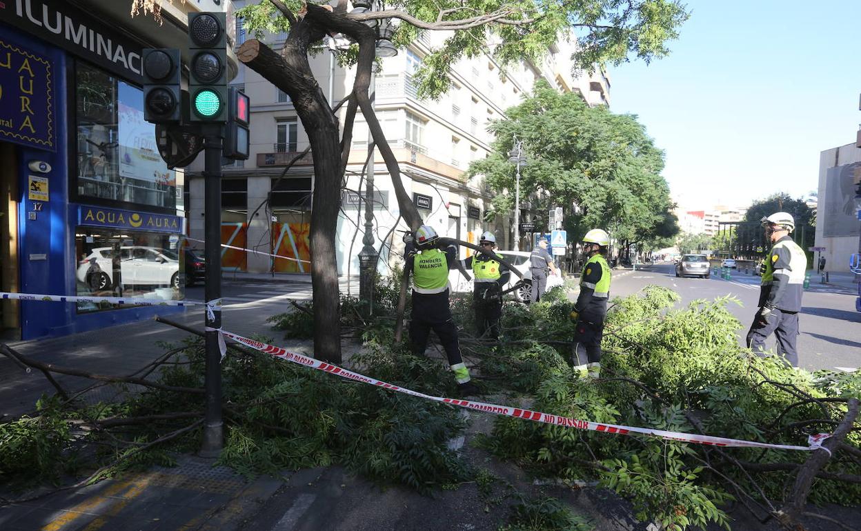 Retirada de las ramas caídas en la calle Guillem de Castro. 