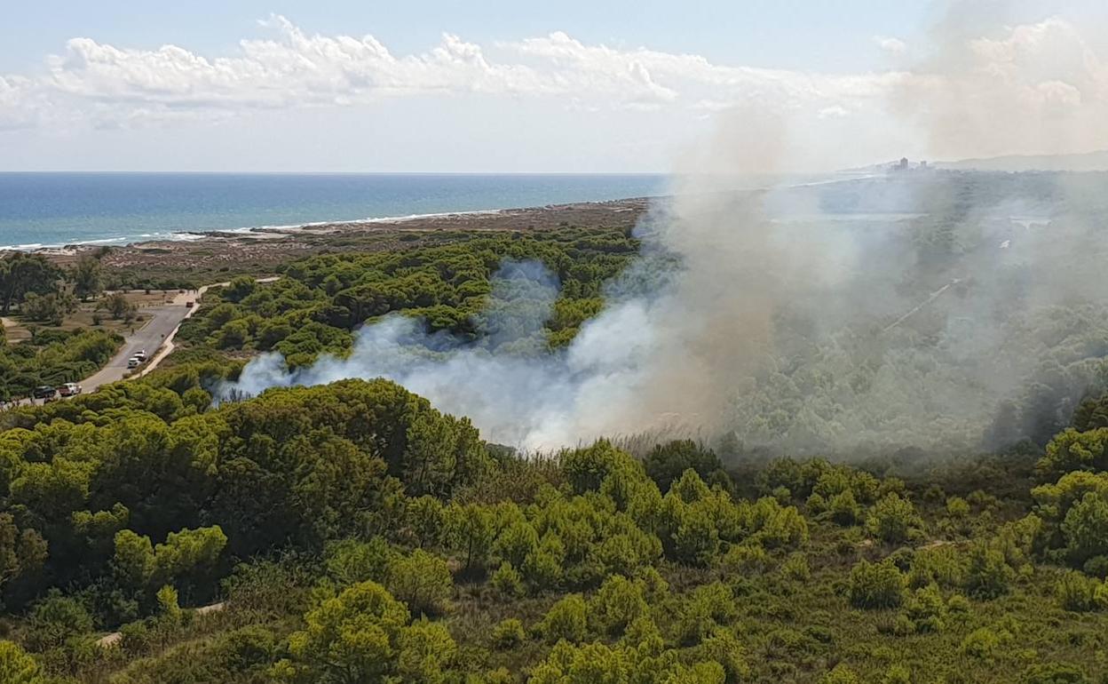 Incendio registrado el pasado sábado en El Saler. 