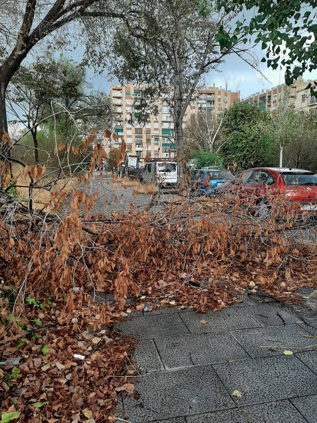 Fotos: El abandono se extiende por las calles de Cruz Cubierta