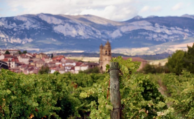 Imagen principal - Así es la bodega de Boluda en Rioja