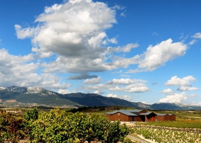 Imagen secundaria 1 - Así es la bodega de Boluda en Rioja