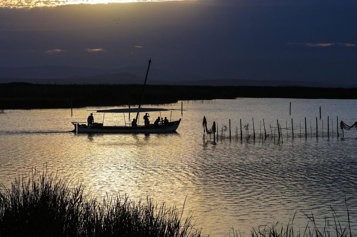 Parque Natural de la Albufera. Jesús signes