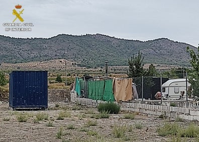 Imagen secundaria 1 - Imágenes de las parcelas en las que se encontraron las plantaciones de marihuana. 