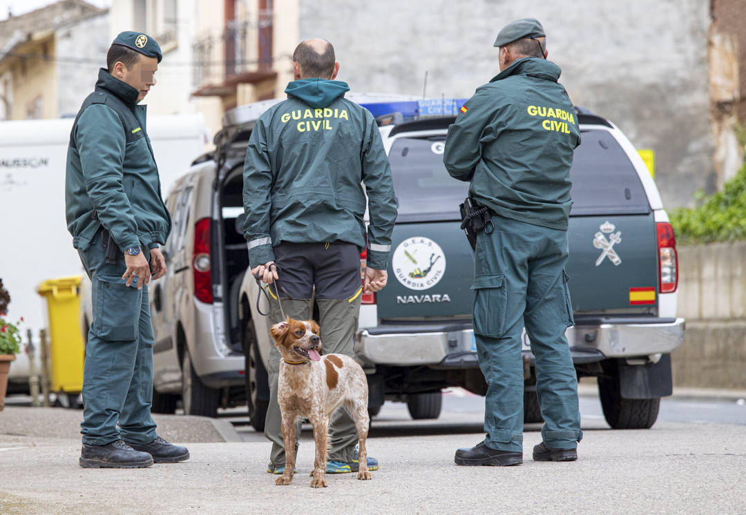 Tres agentes de la Guardia Civil en una operación de búsqueda. 