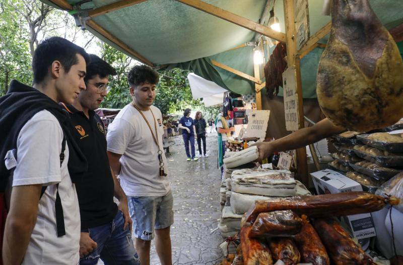 Fotos: Mercado Medieval de Valencia por el 9 d&#039;Octubre