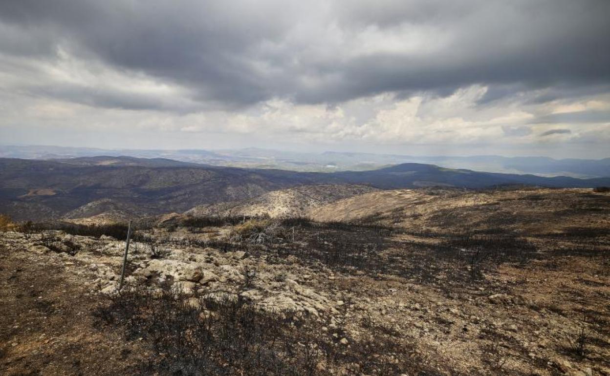 Paisaje del incendio de Bejís del mes de agosto, en el término municipal de Altura.