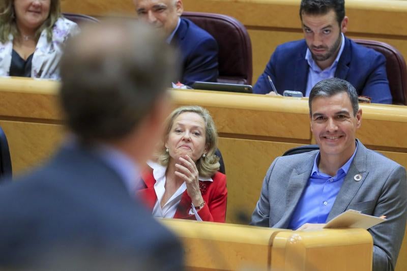 Sánchez acusa al PP de querer «podar» el estado del Bienestar