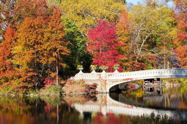 Central Park, Nueva York, Estados Unidos. 