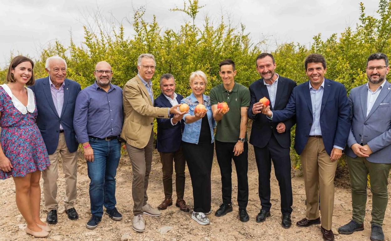 Foto institucional del primer corte simbólico de la granada mollar, este jueves en Elche. 