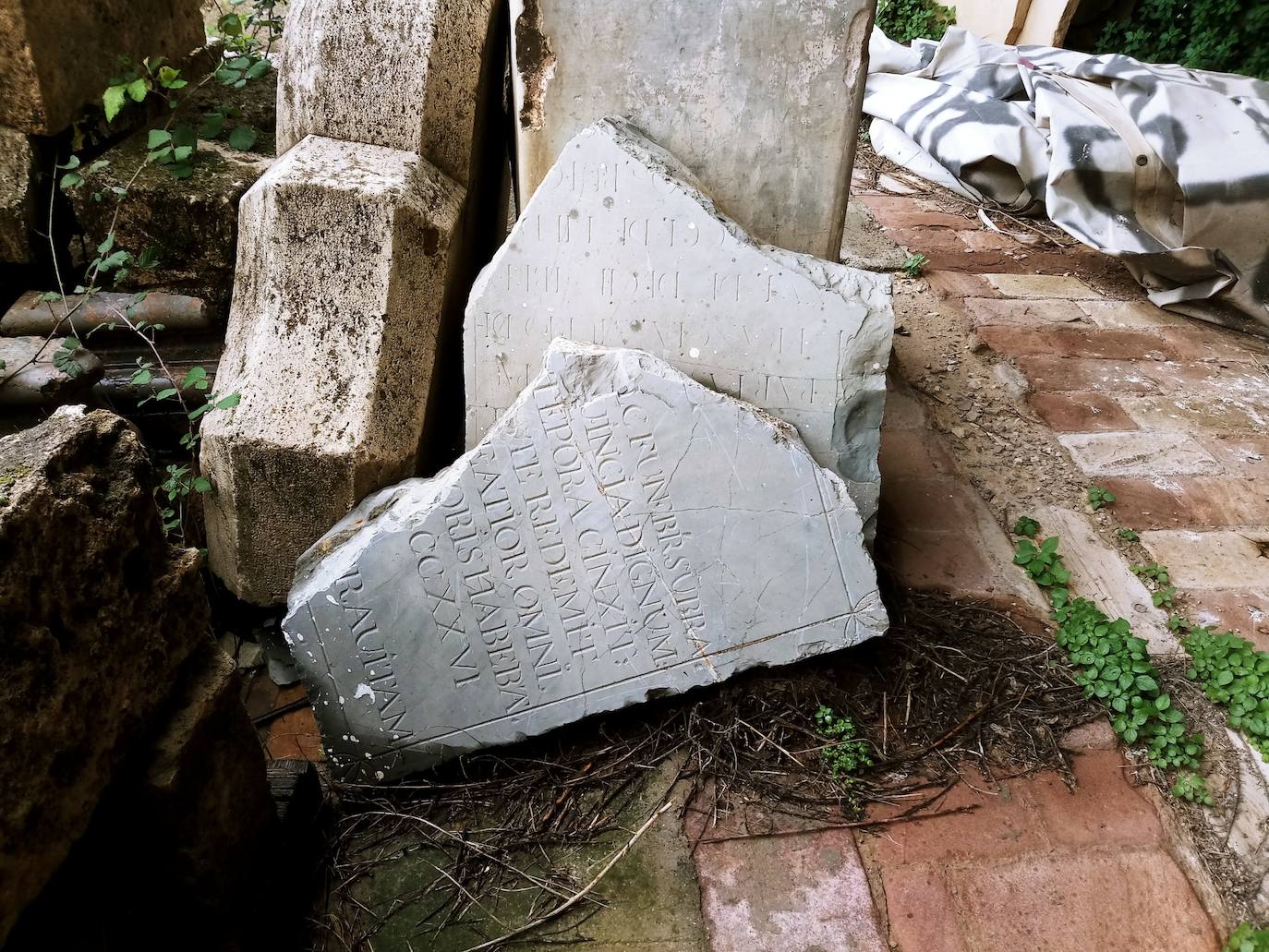 Algunos restos amontonados en el antiguo matadero de Borbotó