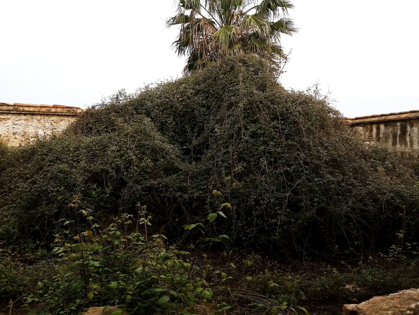 Algunos restos amontonados en el antiguo matadero de Borbotó