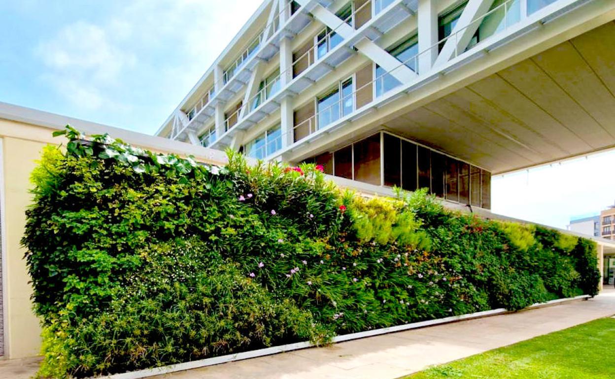 Así es el jardín vertical del biólogo Ignacio Solano.