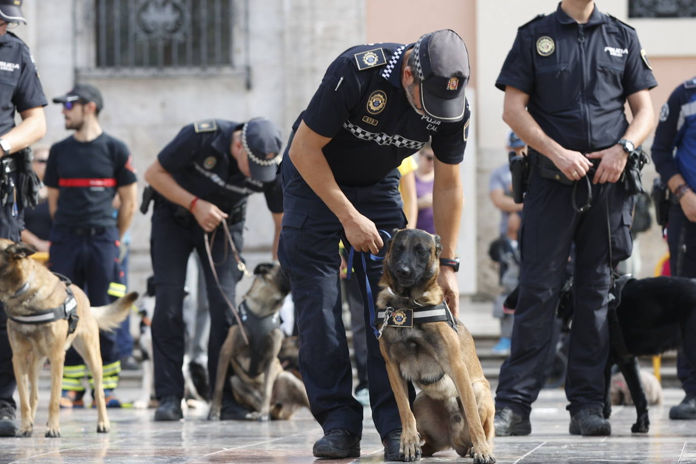 Fotos: Exhibición de unidades caninas de policías y bomberos en la plaza de la Virgen