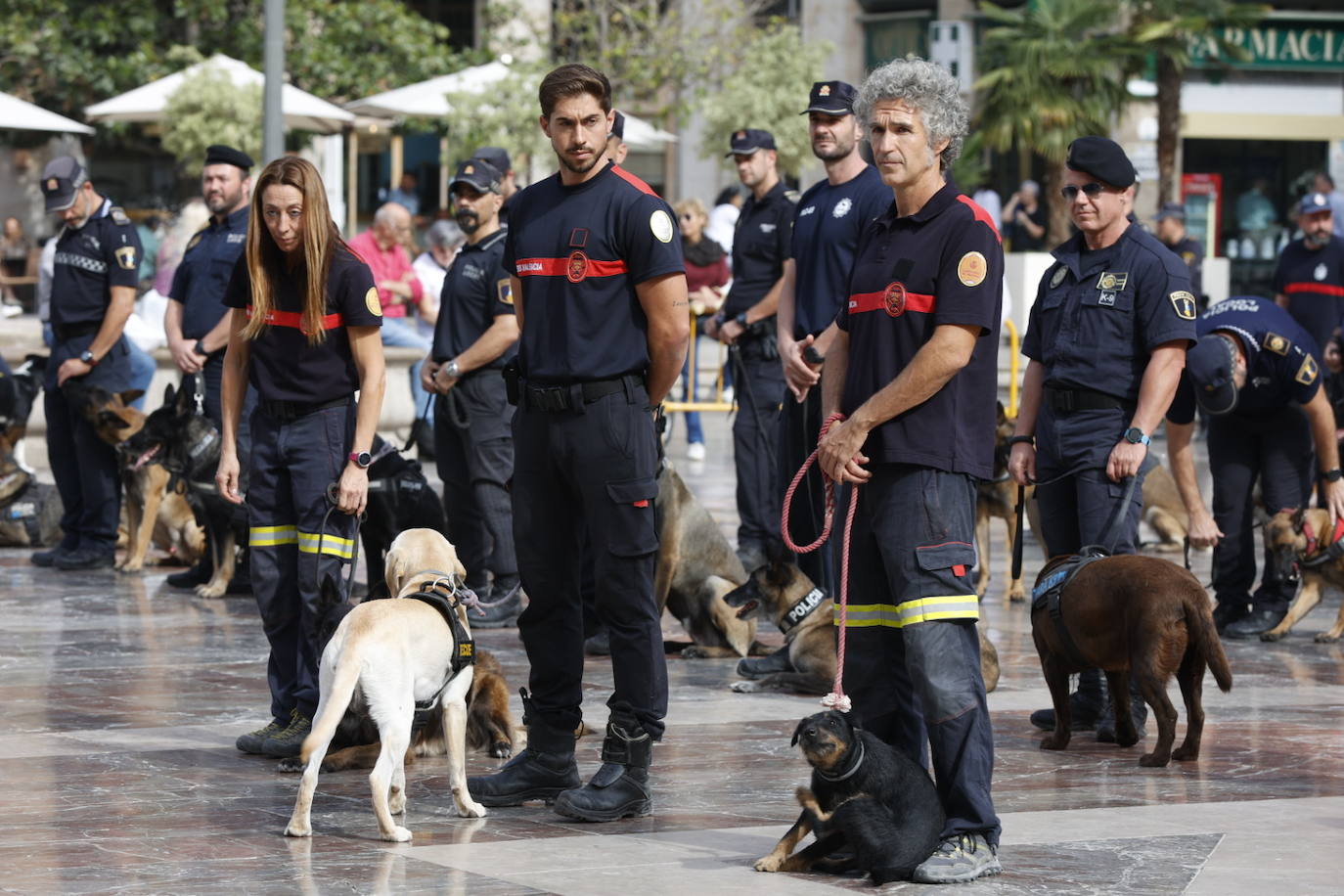 Fotos: Exhibición de unidades caninas de policías y bomberos en la plaza de la Virgen